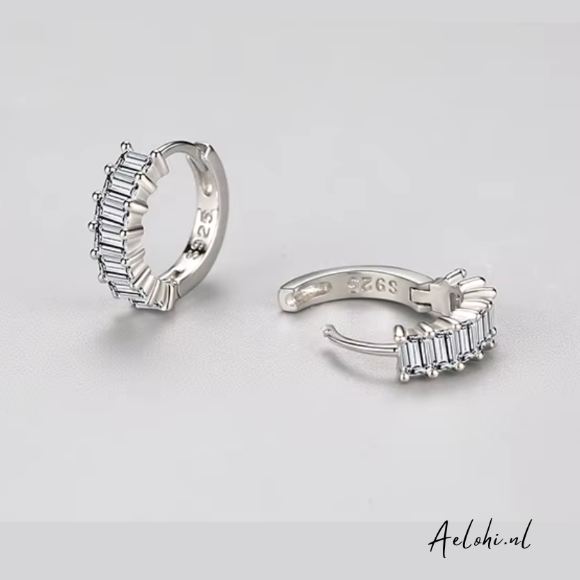 Senaia - Silver Earrings with Zirconia